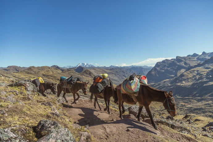 Andean Elegance: A Journey into the Splendor of the Incas